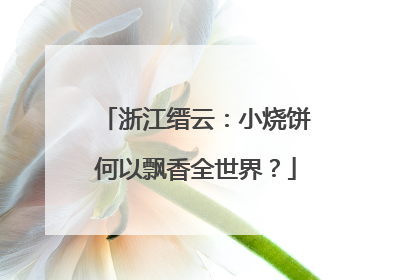浙江缙云：小烧饼何以飘香全世界？