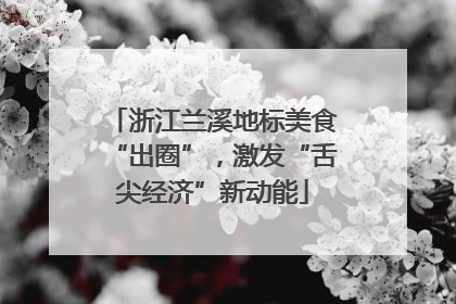 浙江兰溪地标美食“出圈”，激发“舌尖经济”新动能