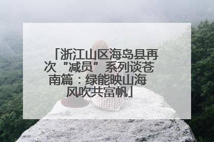 浙江山区海岛县再次“减员”系列谈苍南篇：绿能映山海 风吹共富帆
