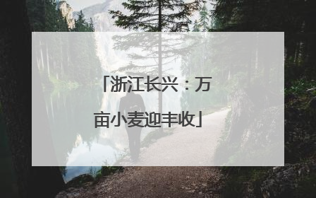 浙江长兴：万亩小麦迎丰收
