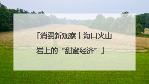 消费新观察丨海口火山岩上的“甜蜜经济”