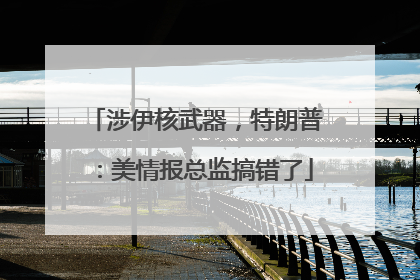 涉伊核武器，特朗普：美情报总监搞错了