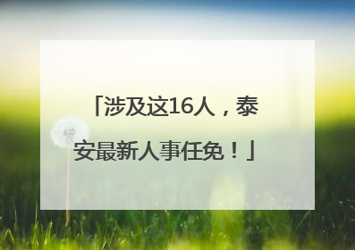 涉及这16人，泰安最新人事任免！