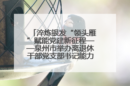 淬炼银发“领头雁”赋能党建新征程——泉州市举办离退休干部党支部书记能力建设专题培训