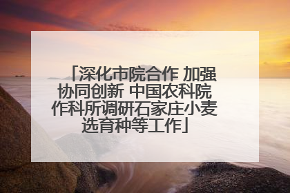 深化市院合作 加强协同创新 中国农科院作科所调研石家庄小麦选育种等工作