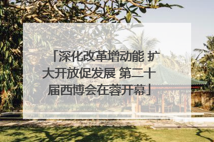 深化改革增动能 扩大开放促发展 第二十届西博会在蓉开幕