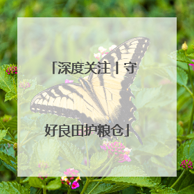 深度关注丨守好良田护粮仓