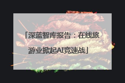 深蓝智库报告：在线旅游业掀起AI竞速战