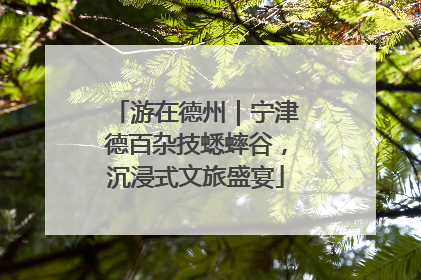 游在德州｜宁津德百杂技蟋蟀谷，沉浸式文旅盛宴