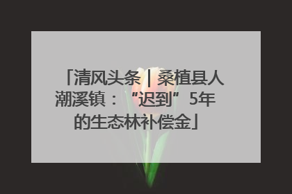 清风头条｜桑植县人潮溪镇：“迟到”5年的生态林补偿金