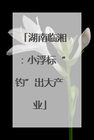 湖南临湘：小浮标“钓”出大产业
