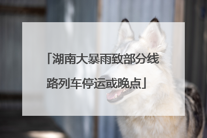 湖南大暴雨致部分线路列车停运或晚点