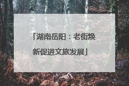 湖南岳阳：老街焕新促进文旅发展