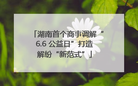 湖南首个商事调解“6.6 公益日”打造解纷“新范式”