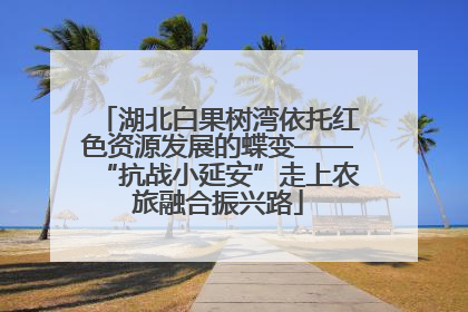 湖北白果树湾依托红色资源发展的蝶变——“抗战小延安”走上农旅融合振兴路