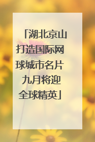 湖北京山打造国际网球城市名片 九月将迎全球精英