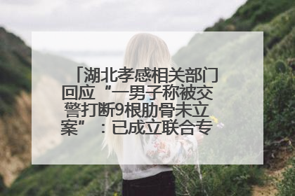 湖北孝感相关部门回应“一男子称被交警打断9根肋骨未立案”：已成立联合专班开展工作