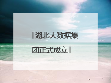 湖北大数据集团正式成立