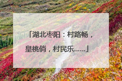 湖北枣阳：村路畅，皇桃俏，村民乐……