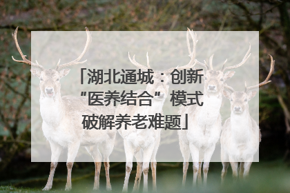 湖北通城：创新 “医养结合”模式 破解养老难题