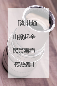湖北通山掀起全民禁毒宣传热潮