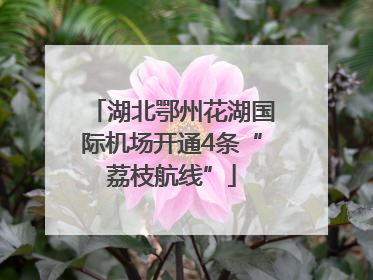 湖北鄂州花湖国际机场开通4条“荔枝航线”