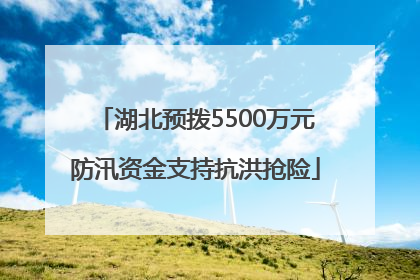 湖北预拨5500万元防汛资金支持抗洪抢险
