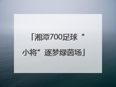 湘潭700足球“小将”逐梦绿茵场
