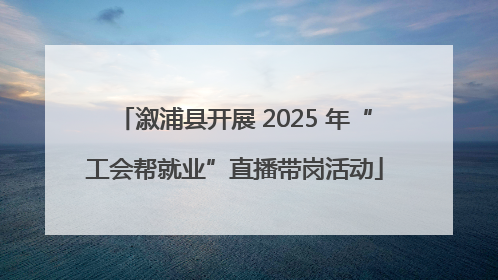 溆浦县开展 2025 年“工会帮就业”直播带岗活动