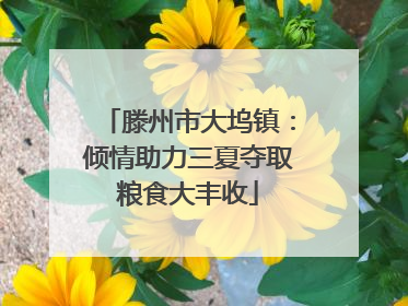 滕州市大坞镇：倾情助力三夏夺取粮食大丰收