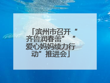 滨州市召开“齐鲁润春蕾”“爱心妈妈续力行动”推进会