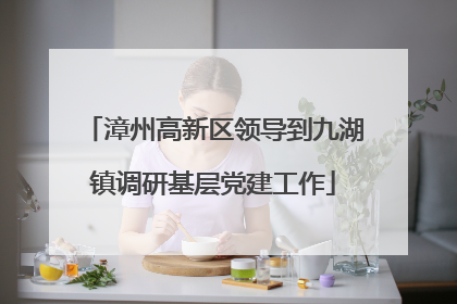 漳州高新区领导到九湖镇调研基层党建工作