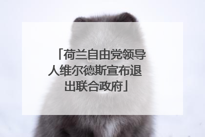 荷兰自由党领导人维尔德斯宣布退出联合政府