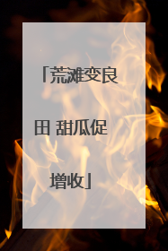 荒滩变良田 甜瓜促增收