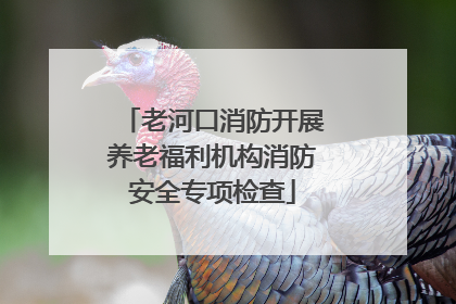 老河口消防开展养老福利机构消防安全专项检查