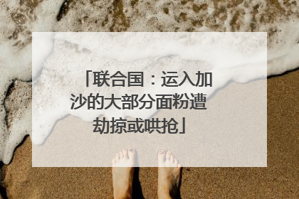 联合国：运入加沙的大部分面粉遭劫掠或哄抢