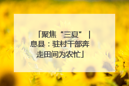 聚焦“三夏”｜息县：驻村干部奔走田间为农忙