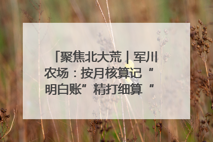 聚焦北大荒｜军川农场：按月核算记“明白账”精打细算“过紧日子”