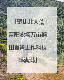 聚焦北大荒｜普阳农场万亩稻田夏管工作科技感满满