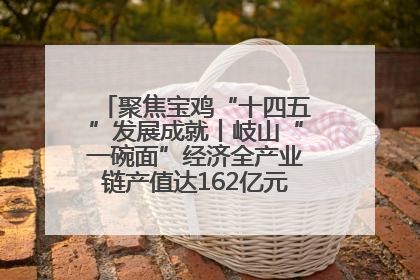 聚焦宝鸡“十四五”发展成就丨岐山“一碗面”经济全产业链产值达162亿元 入选全国典型县