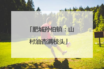 肥城孙伯镇：山村油杏满枝头