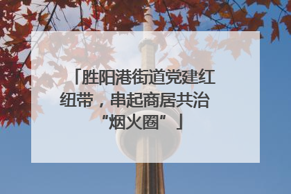 胜阳港街道党建红纽带，串起商居共治 “烟火圈”