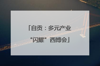 自贡：多元产业“闪耀”西博会