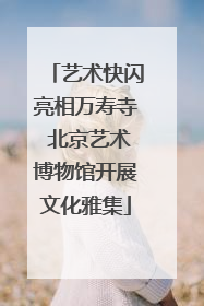 艺术快闪亮相万寿寺 北京艺术博物馆开展文化雅集
