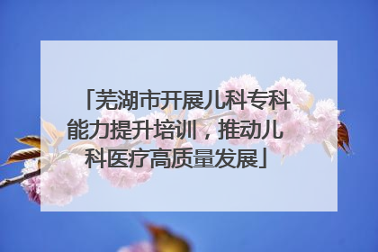 芜湖市开展儿科专科能力提升培训，推动儿科医疗高质量发展