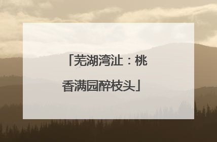 芜湖湾沚：桃香满园醉枝头
