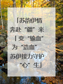 苏韵伊情 奔赴“疆”来丨变“输血”为“造血” 苏伊接力守护“心”生