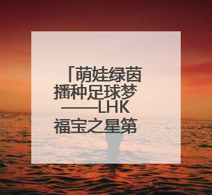 萌娃绿茵播种足球梦——LHK福宝之星第三届幼儿足球嘉年华精彩绽放