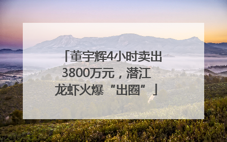 董宇辉4小时卖出3800万元，潜江龙虾火爆“出圈”