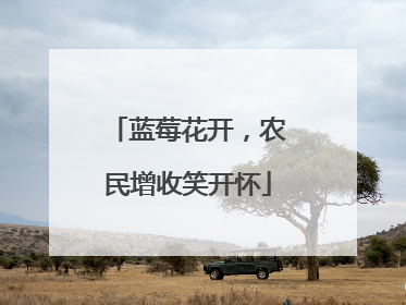 蓝莓花开，农民增收笑开怀